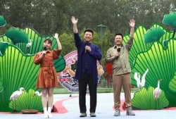 天津海鸥爆料事件视频最新,揭秘背后惊人真相