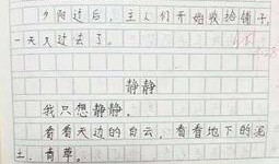 最新小作文爆料,最新小作文爆料背后的惊人真相