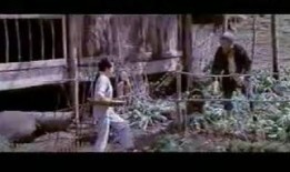 边城在线观看,穿越时空的湘西风情之旅