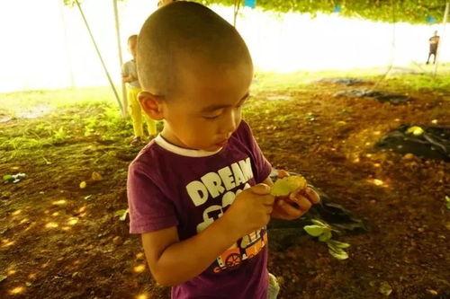 一起来吃瓜能提现吗