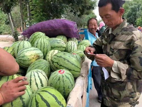 718sx吃瓜娱乐去哪里了,探寻消失的瓜圈传奇