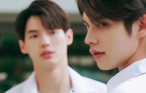 双男主穿书文娱乐圈吃瓜,双男主穿书娱乐圈甜蜜吃瓜记