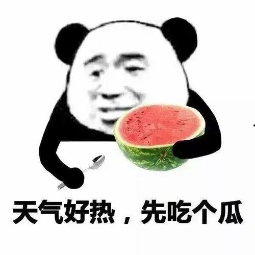 娱乐吃瓜八卦的网名大全,网名大全中的吃瓜八卦风云录